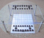 Shogi - The Next Generation Shogi - The Next Generation